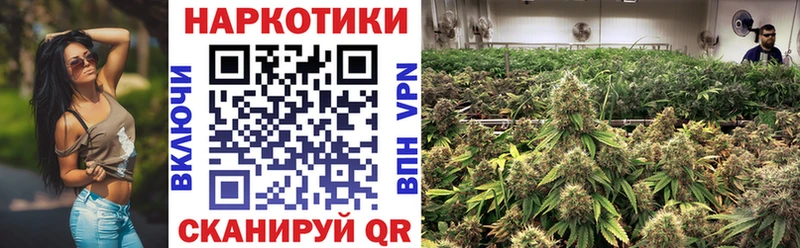 Галлюциногенные грибы Билибино