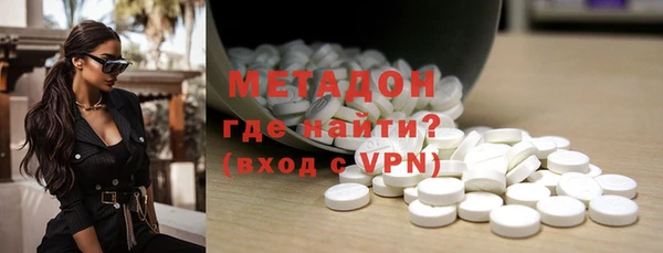 прущие грибы Аркадак