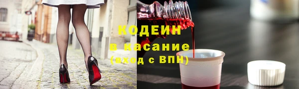 прущие грибы Аркадак