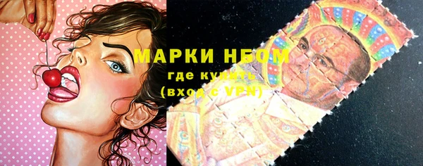 прущие грибы Аркадак