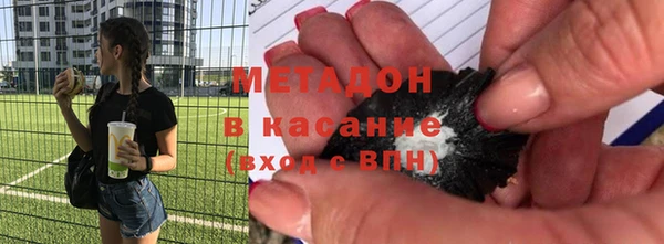 прущие грибы Аркадак