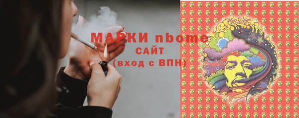 прущие грибы Аркадак