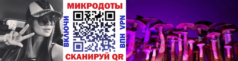 Галлюциногенные грибы Psilocybe  Купить где  Билибино 